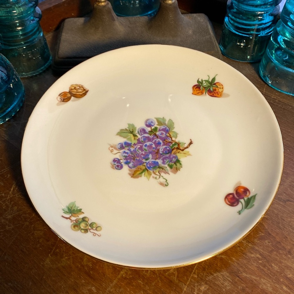 CORNELIA Loucky Carlsbad Czechoslovakia 7 3/4” Plate-Grapes Center Fruit Rim